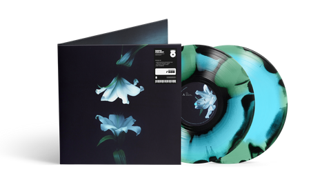 WASIA PROJECT – NOCTURNE